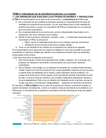 TEMA-4-IAE.pdf