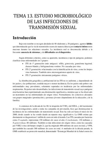 TEMA-13.pdf