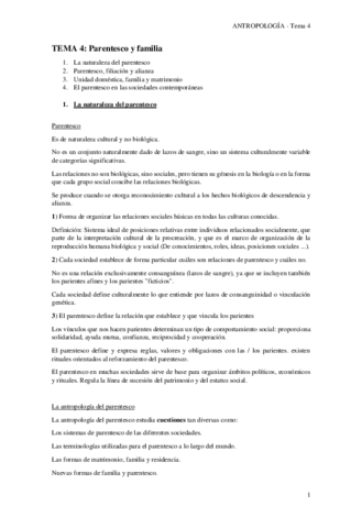 TEMA-4.pdf