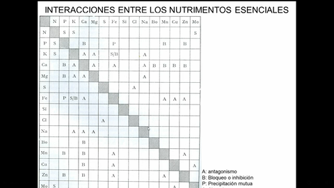 Interacciones-entre-los-nutrimentos-esenciales.png