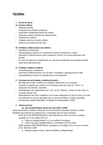 Preventivas.pdf