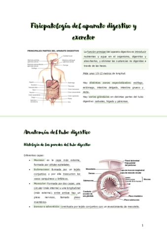 UNIDAD-10-APARATO-DIGESTIVO-.pdf