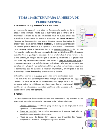 TEMA-10.pdf