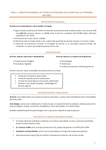 RESUMEN-MAYORES.pdf