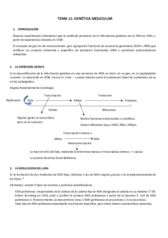 Genetica-molecular-tema-11.pdf