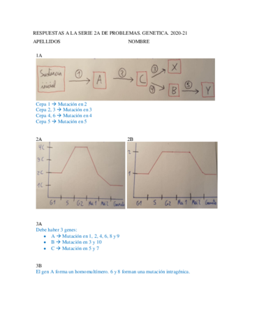 Respuestas-Serie-2A.pdf