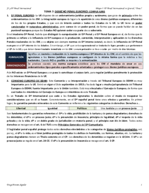 TEMA 7 PENAL INTERNACIONAL.pdf