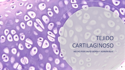 Tejido-Cartilaginoso.pdf