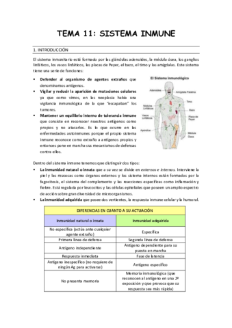 Resumen-tema-11.pdf