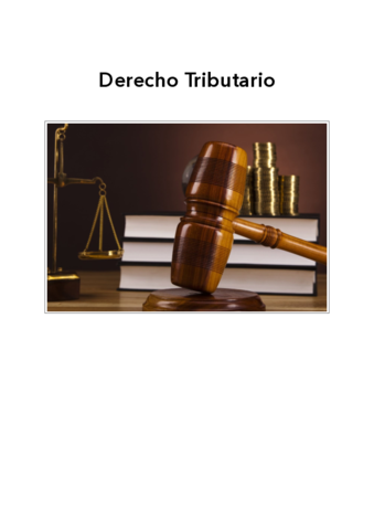 Temas-Derecho-Tributario.pdf