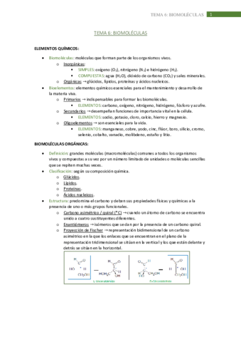 tema-6.pdf