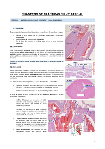 CUADERNO-DE-PRACTICAS-CH-2o-PARCIAL.pdf