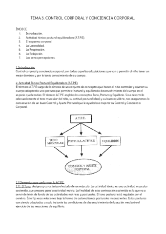 TEMA-3-MOTRICIDAD.pdf