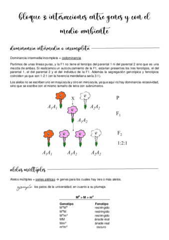 Bloque-3.pdf