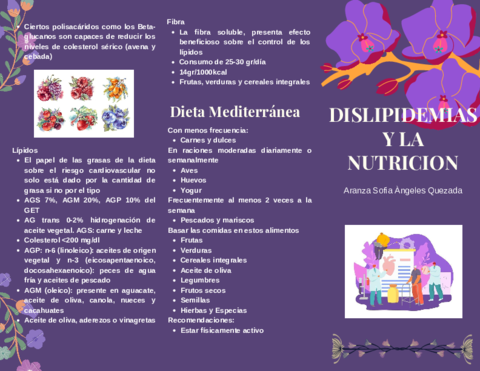 Dislipidemias-y-nutricion.pdf