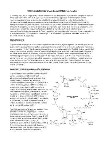 Tema-5-fisio-veg-2.pdf