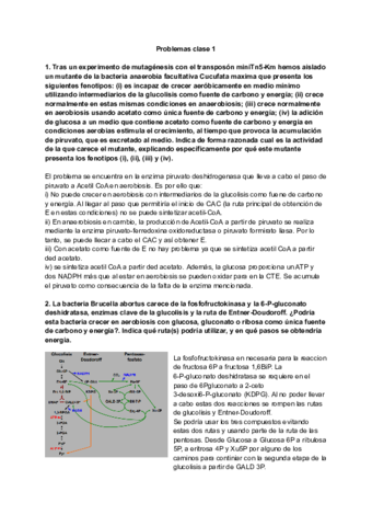 Clase-1.pdf