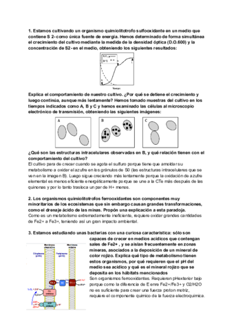 Clase-5-1.pdf