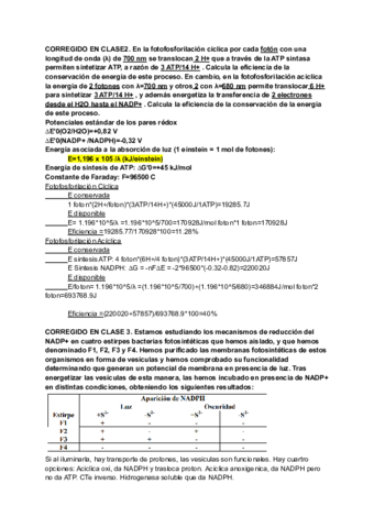 Clase-4.pdf