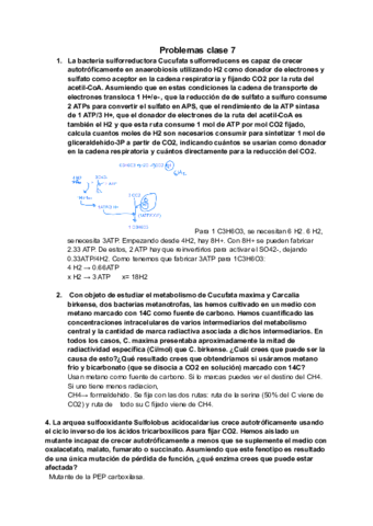 Clase-7.pdf