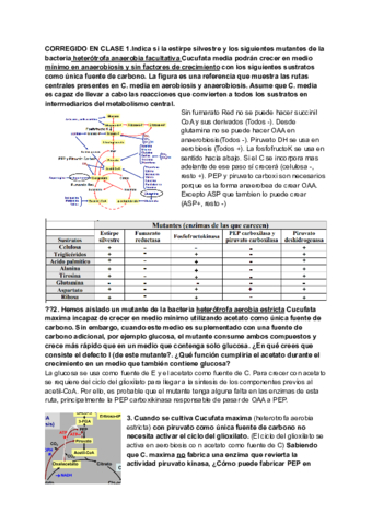 Clase-6-1.pdf