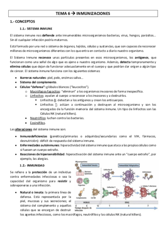 TEMA-6.pdf