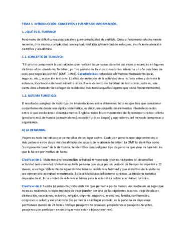TEMA-1-DE-TURISMO-LO-DE-LAS-DIAPOSITIVAS-EN-7-PAGS.pdf