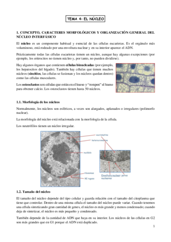 TEMA-4-biologia-celular.pdf