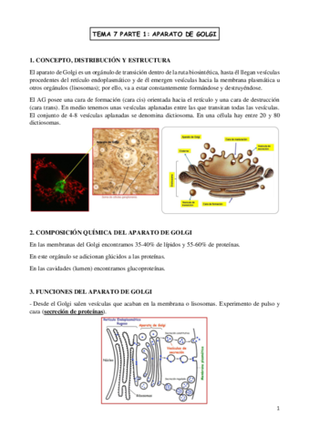 TEMA-7-biologia-celular.pdf