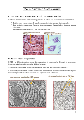 TEMA-6-biologia-celular.pdf