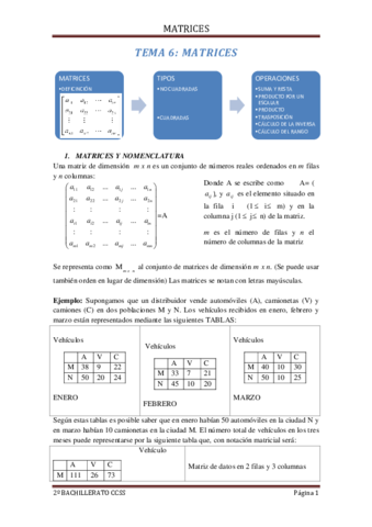 TEMA-6.pdf