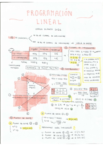 Ficha-resumen-programacion-lineal-carlos-blanco.pdf