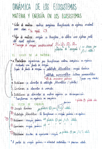 dinamicaecosistemas.pdf
