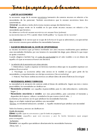 Resumen-T.pdf