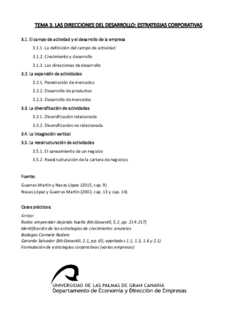 TEMA-3-ESTRATEGIA-resumido.pdf