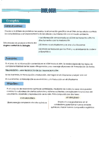 Examen-parcial.pdf