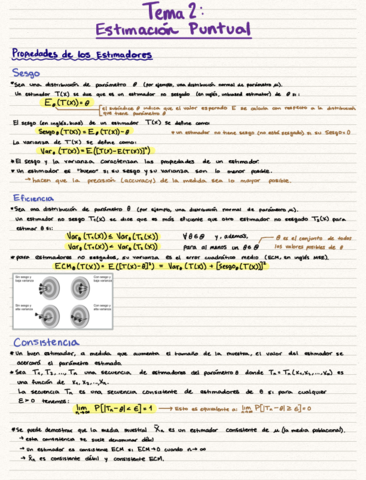 Tema-2-Estimacion-Puntual.pdf