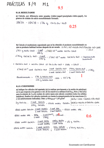 Practicas 8 y 9 ampliacion de quimica