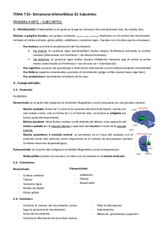 TEMA-7-Estructuras-telencefalicas.pdf