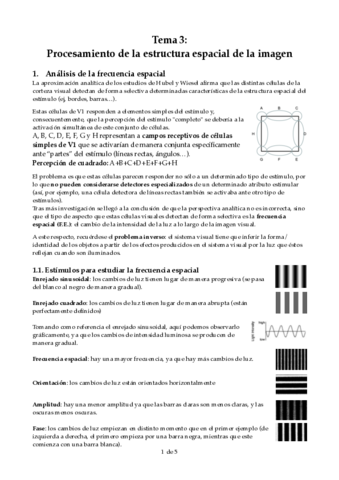 tema-3-AP-.pdf
