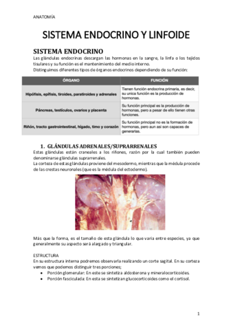 SISTEMA-ENDOCRINO-Y-LINFOIDE-copia.pdf