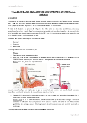 TEMA-11-CUIDADOS-DEL-PACIENTE-CON-ENFERMEDADES-QUE-AFECTAN-AL-ESOFAGO.pdf