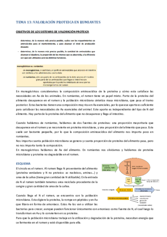 Tema-13-Valoracion-proteica-rumiantes.pdf