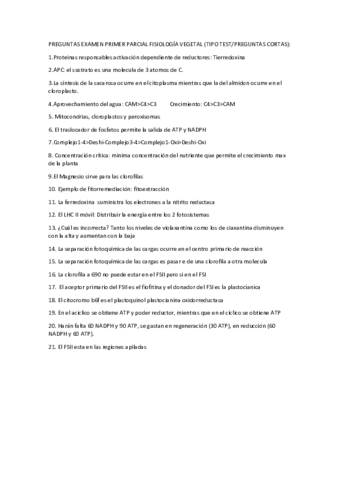 Primer-parcial.pdf