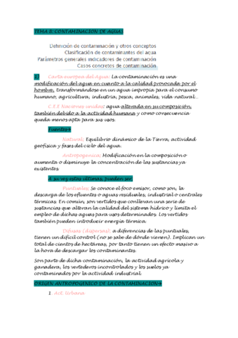 TEMA 8 resumen.pdf