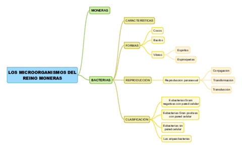 TEMA15-LOS-MICROORGANISMOS-DEL-REINO-MONERAS.pdf