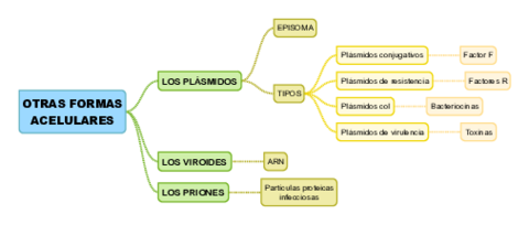 TEMA15-OTRAS-FORMAS-ACELULARES.pdf
