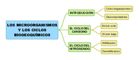TEMA15-LOS-MICROORGANISMOS-Y-LOS-CICLOS-BIOGEOQUIMICOS.pdf