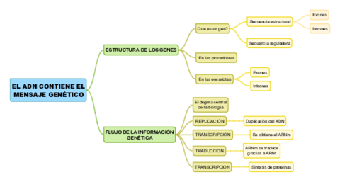 TEMA13-EL-ADN-CONTIENE-EL-MENSAJE-GENETICO.pdf