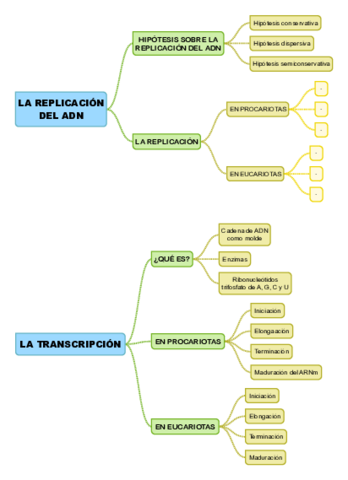 TEMA13-LA-REPLICACION-DEL-ADN-LA-TRANSCRIPCION-.pdf
